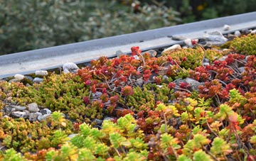 the cost of Easter Essendy green roof installation