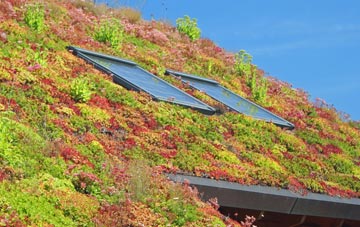 Easter Essendy living roof systems